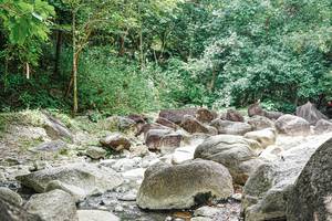 BIB: 
                            <button type="button" onclick="openModal(25120025)" class="btn btn-primary btn-sm float-right btn-popup" data-toggle="modal" data-target=".modal-high-quality">
                        <i class="fas fa-shopping-cart"></i> Add to Cart
                    </button>
                                            <button type="button" onclick="isThisMe(25120025, true)" class="btn btn-success btn-sm float-right btn-popup btn-isme hidden" data-toggle="tooltip" data-placement="bottom" title="นี่คือรูปของคุณใช่ไหม คลิกที่นี่เพื่อเอาเข้าอัลบั้ม">
                        <i class="fas fa-plus"></i> Add to album
                    </button>
                    <button type="button" onclick="isThisMe(25120025, false)" class="btn btn-warning btn-sm float-right btn-popup btn-isnotme hidden">
                        <i class="fas fa-ban"></i> Remove from album
                    </button>